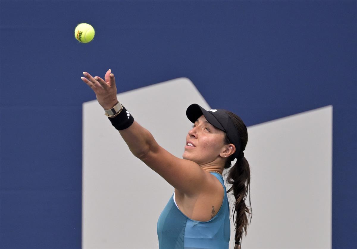 有些土豆在 有些土豆在